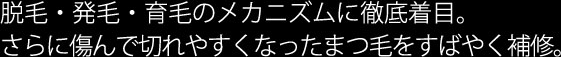 脱毛・発毛・育毛のメカニズムに徹底着目。さらに傷んで切れやすくなったまつ毛をすばやく補修。