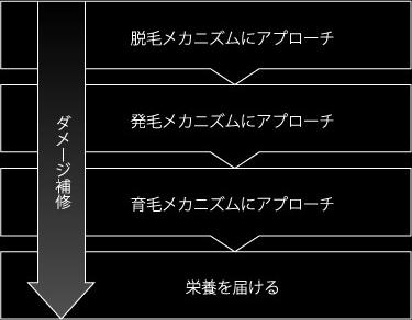 ダメージ補修 脱毛メカニズムにアプローチ 発毛メカニズムにアプローチ 育毛メカニズムにアプローチ 栄養を届ける